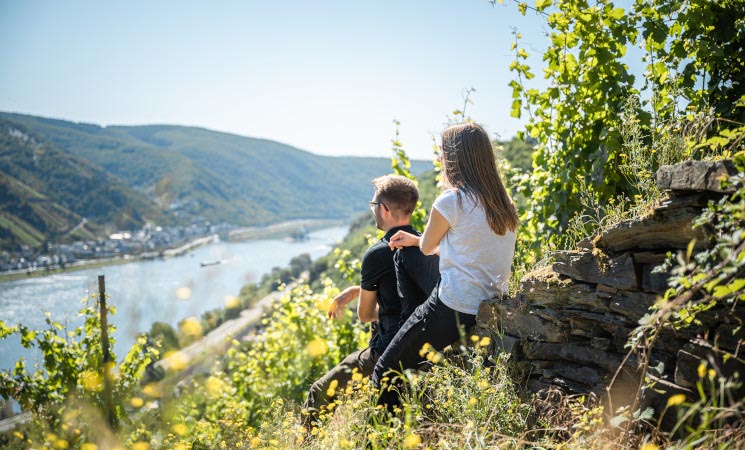 blick-in-das-mittelrehintal_staendige-vertretung-des-deutschen-weines_svddw