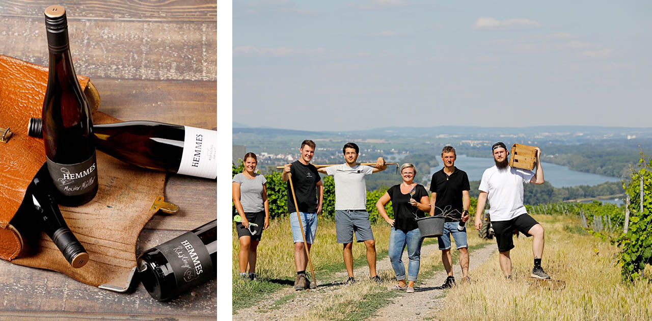 weingut_hemmes_staendige-vertretung-des-deutschen-weines_svddw