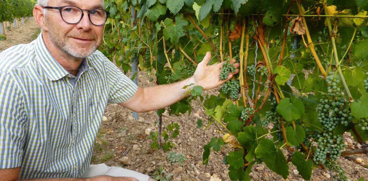 winzerhof_schmitt_staendige-vertretung-des-deutschen-weines_svddw